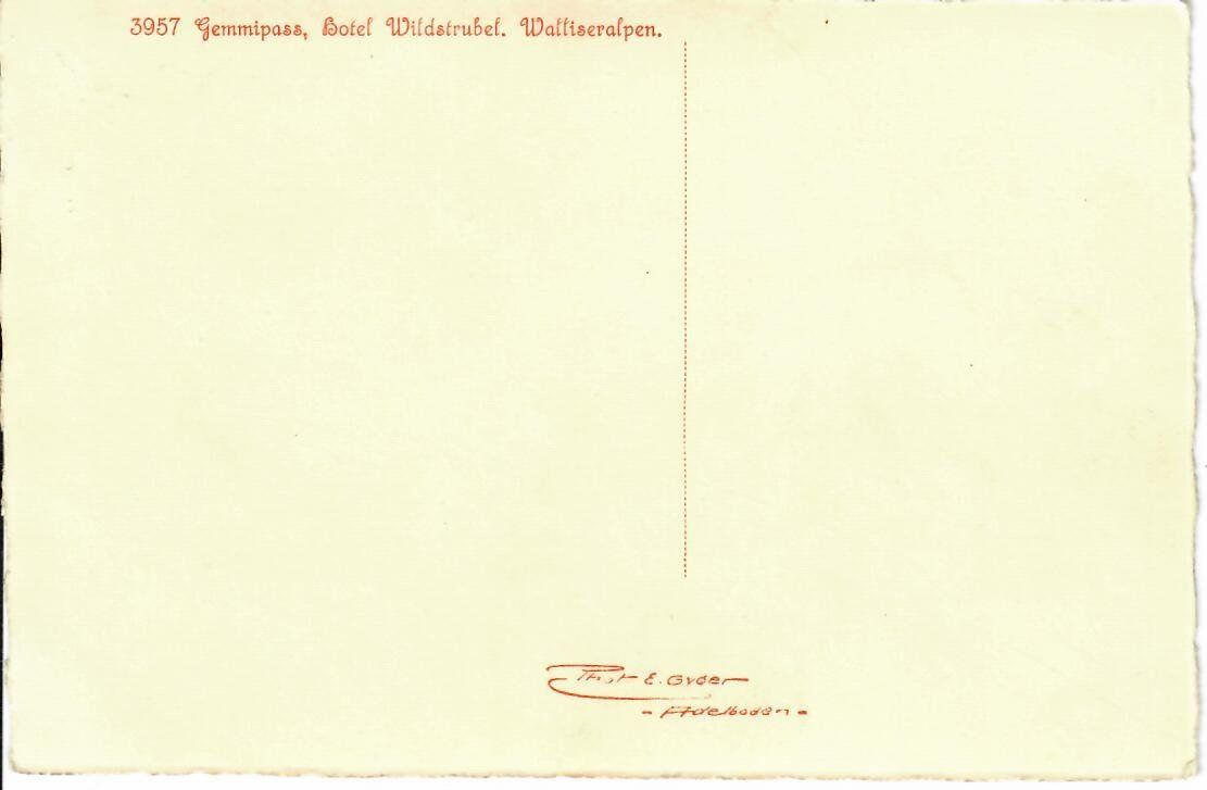 Cartoline postali: Gemmipass – Usato da Hochdorf venduto da Ziegel-16 1