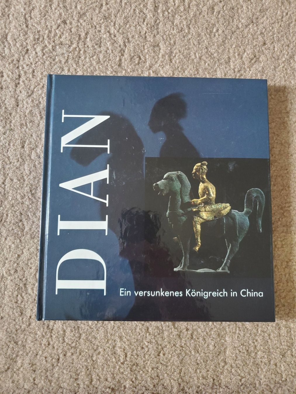 Libri: Dian - Ein versunkenes Königreich in China – Usato da Opfikon venduto da Steins_Siedlung