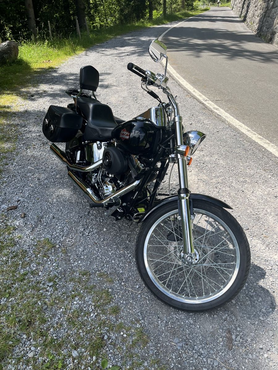 Harley-Davidson Chopper: Harley Davidson Softail Night Train – Gebraucht aus Schindellegi von Mmickeymouse 2
