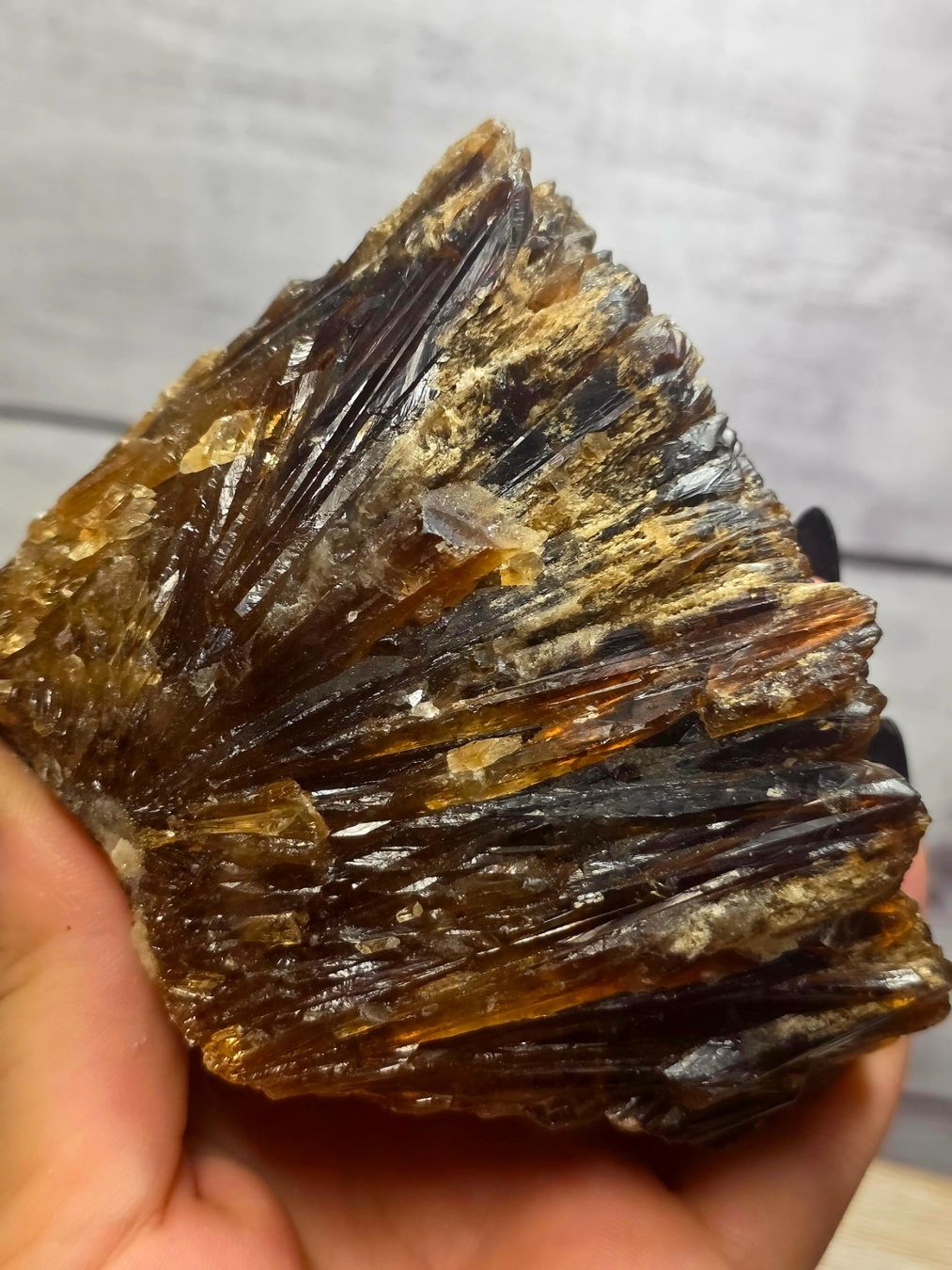 Minerali & Pietre curative: Bernstein Calcit Roh A 580g – Nuovo e nell'imballaggio originale da Matzingen venduto da Shay_Crystalz 2