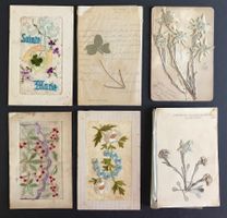6 cartes postales anciennes 2 avec edelweiss