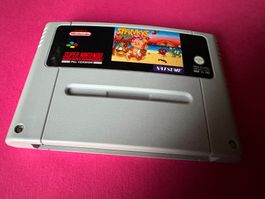 SPANKYS QUEST SPIEL FÜR SUPERNINTENDO