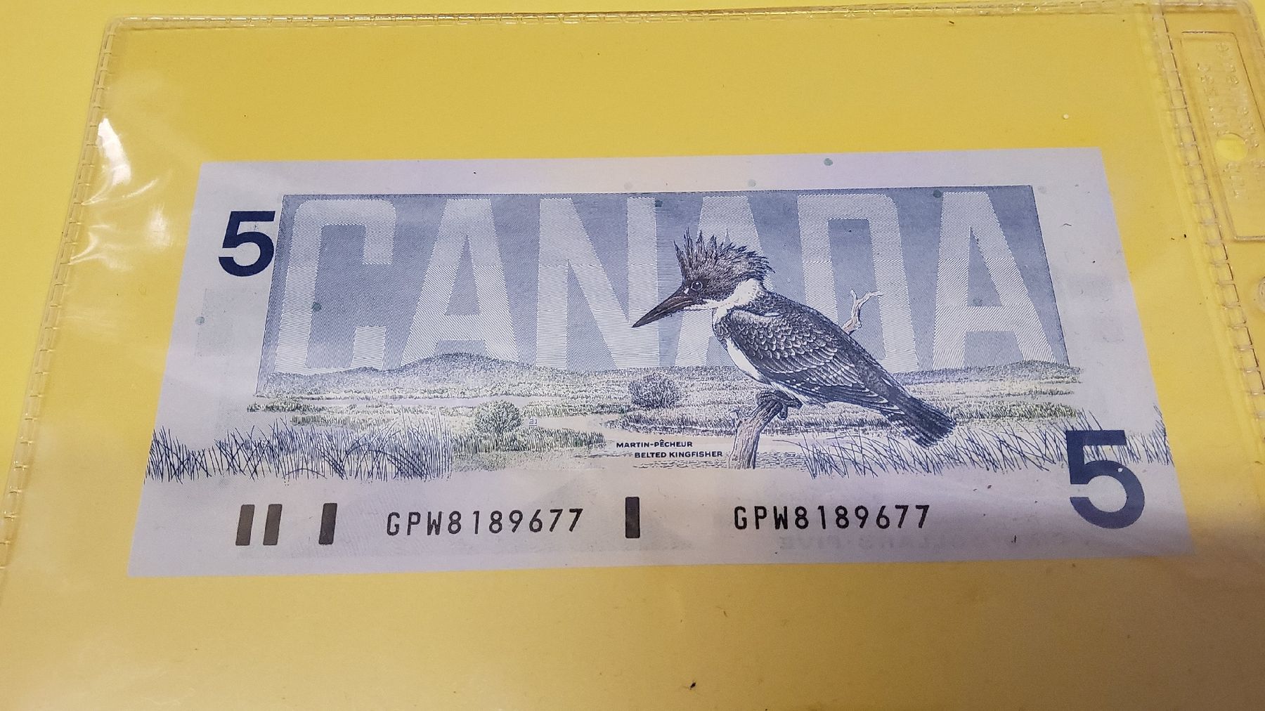 Banconote: Kanadischer 5 Dollar Schein 1986 Eisvogel – Nuovo e nell'imballaggio originale da Herisau venduto da Nluanalucas 1