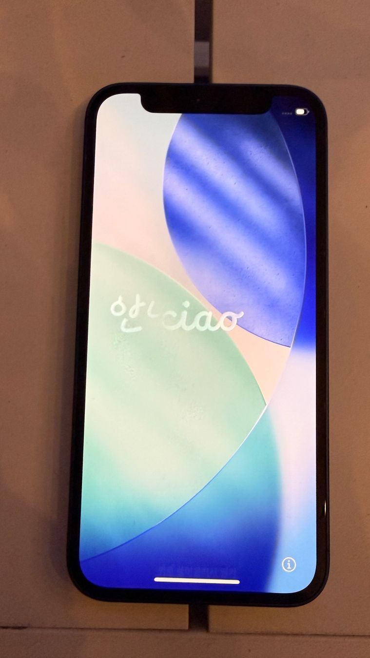 Apple Telefoni cellulari / Smartphones: iPhone 12 mini bleu 256 GB – Usato da Epalinges venduto da labozor 1