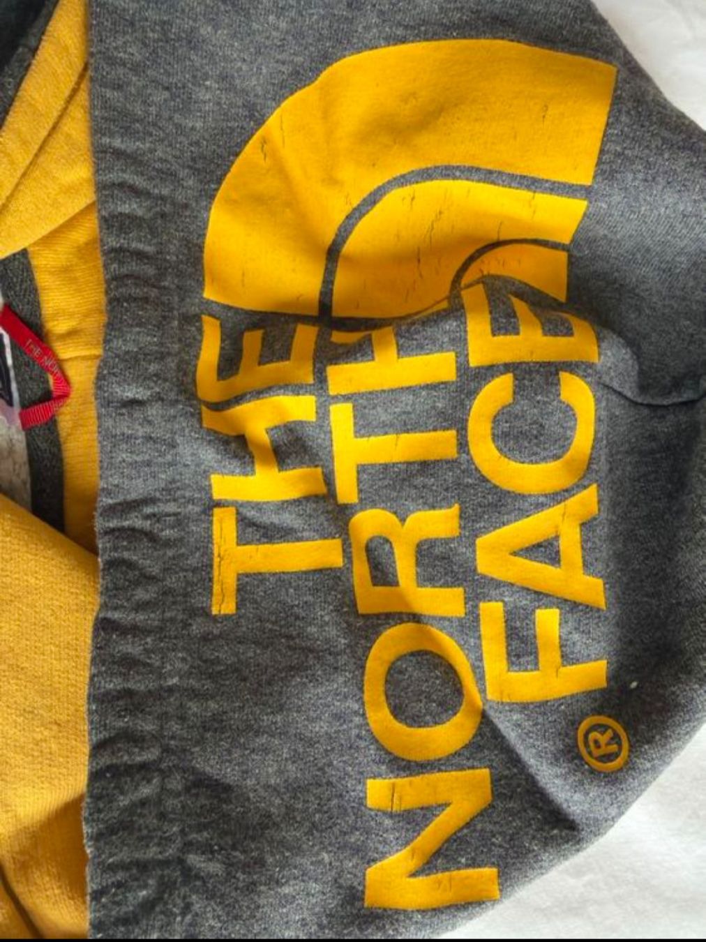North Face Maglioni & Felpe: North Face Hoodie Gr S/M – Usato da Binz venduto da julijuli 1