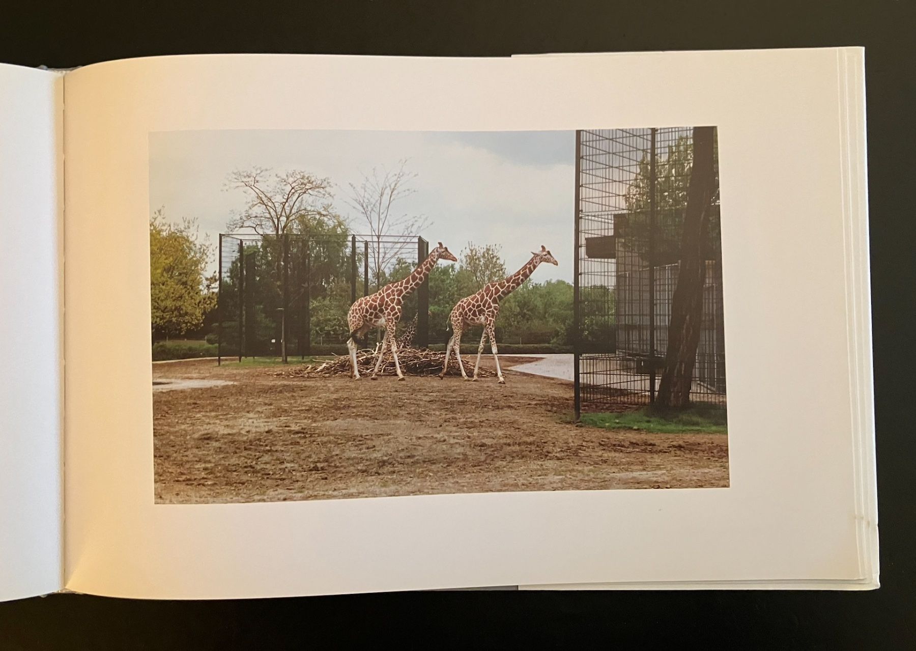 Libri: candida höfer . zoologische gärten – Usato da Basel venduto da cosmos.books 8
