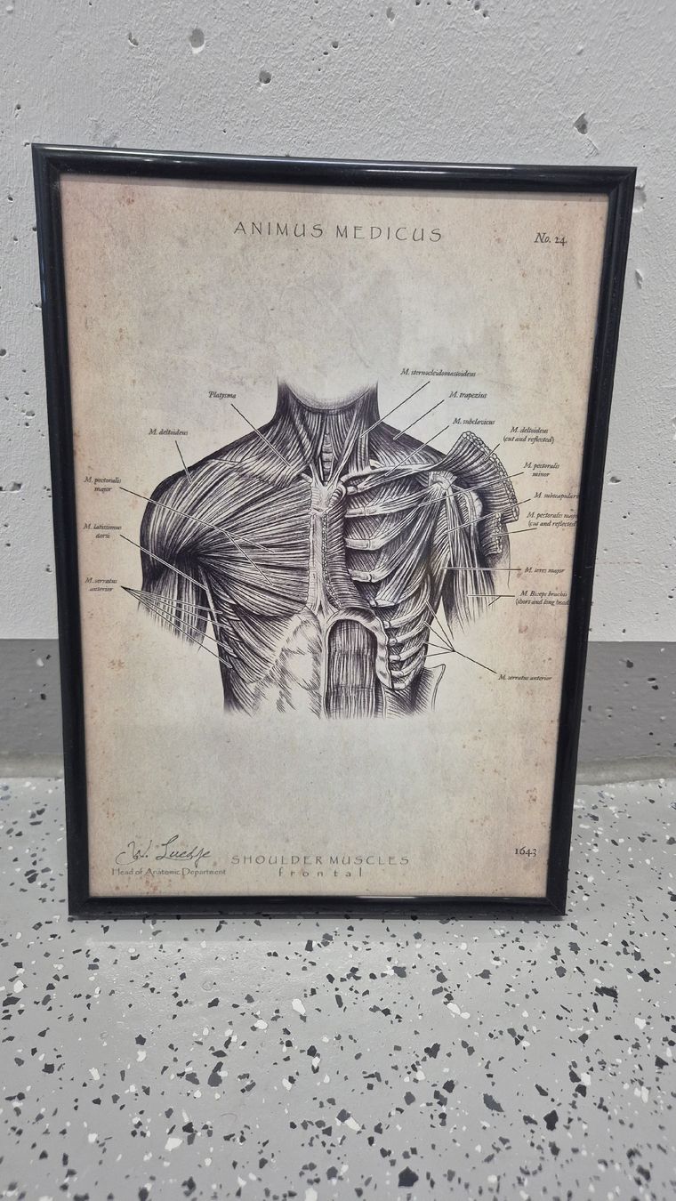 Foto & Immagini: Animus Medicus 3 Bilder + Rahmen – Usato da Walenstadt venduto da jan_dcn2