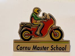 1 Pin Cornu Master School