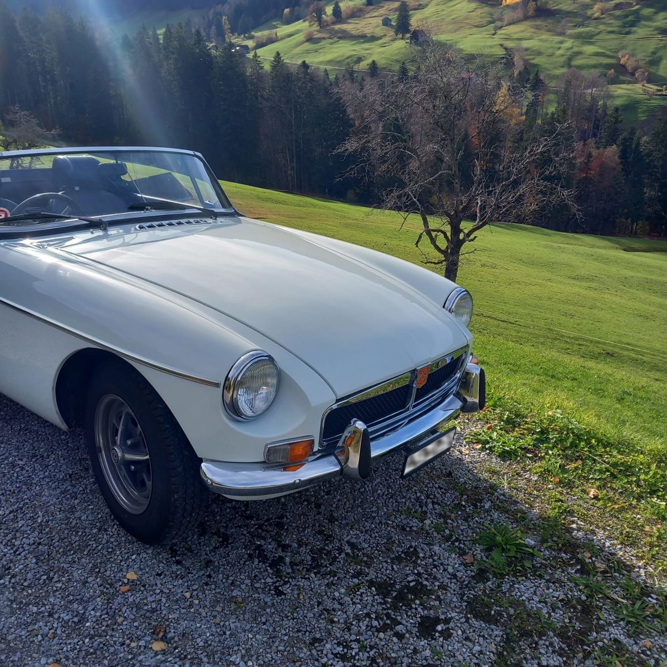 MG Automobili: MGB 1974 Roadster Overdrive – Usato da Ebnat-Kappel venduto da blazzi 1