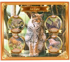Block "Luchs". Madagaskar