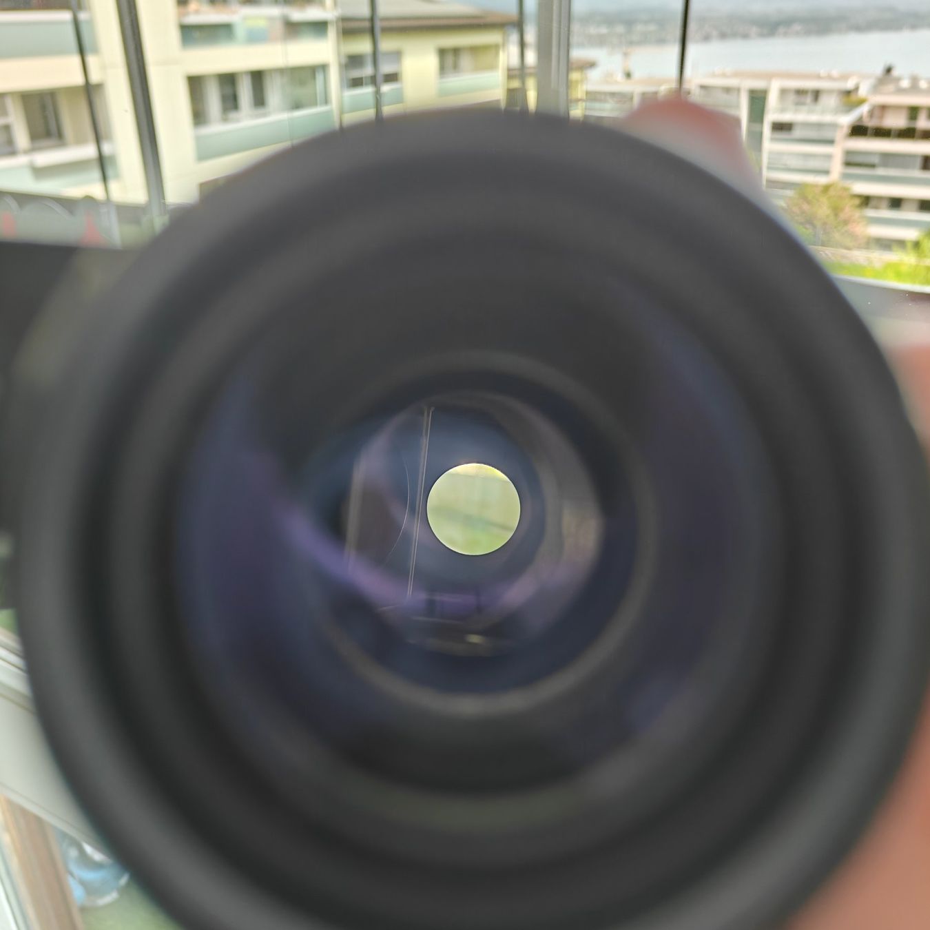 Zeiss Binocoli: Carl Zeiss Dialyt 8x30b Feldstecher – Usato da Richterswil venduto da Tailgate 5