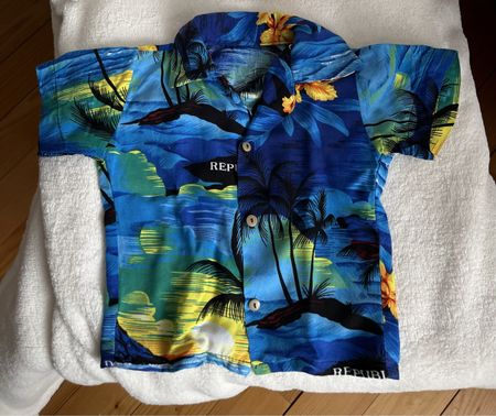 Kinder-Hemd Sommerhemd  Hawaii Gr. 98 Strand🌴 Sonne