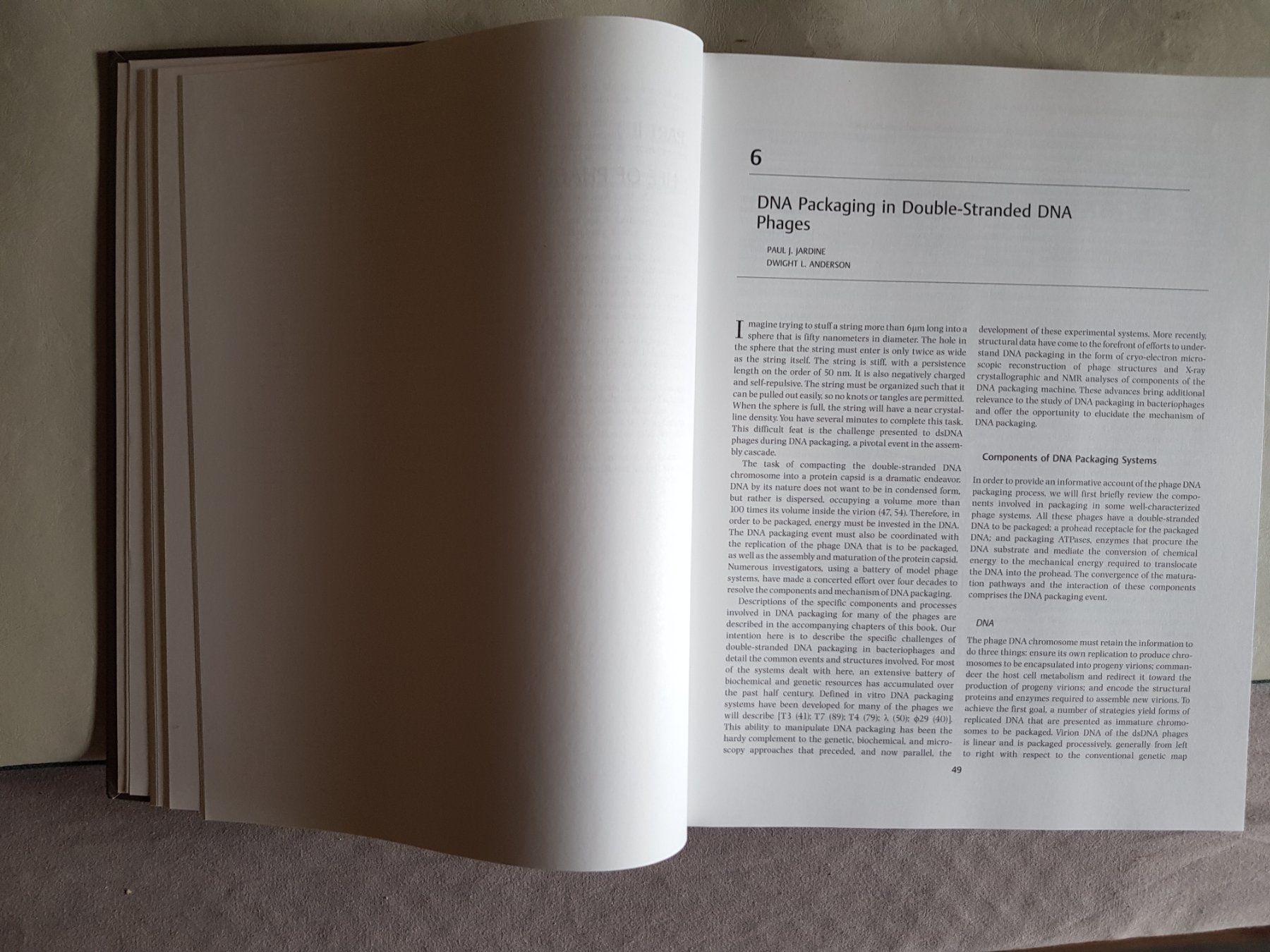 Libri: The Bacteriophages - Richard Calendar - 2. Edition - 2006 – Usato da Walterswil BE venduto da Lonitti 7