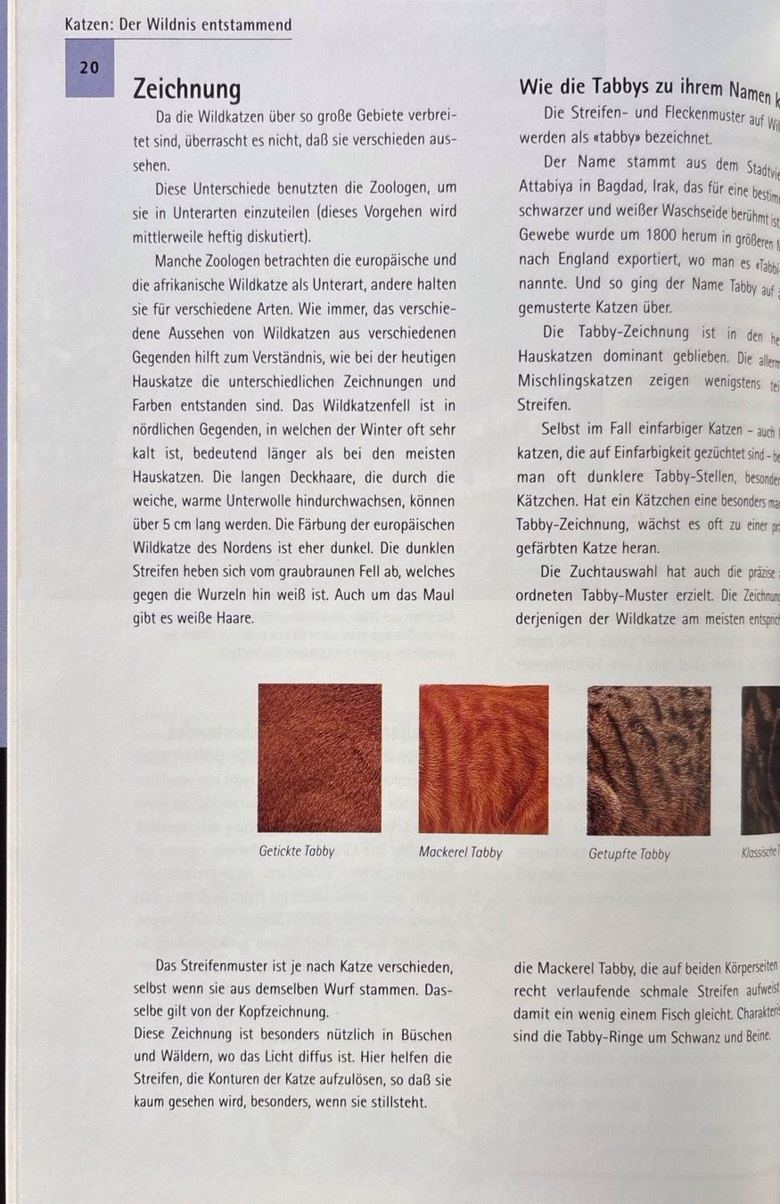 Libri: Alderton David, Die Katze der kleine Tiger – Nuovo (secondo la descrizione) da Sarnen venduto da Livres 4