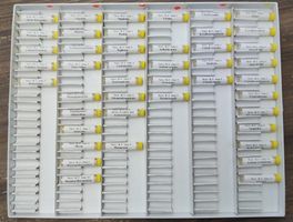 Keymer Testkasten "Niere/Blase/Unterleib/Geopathie"