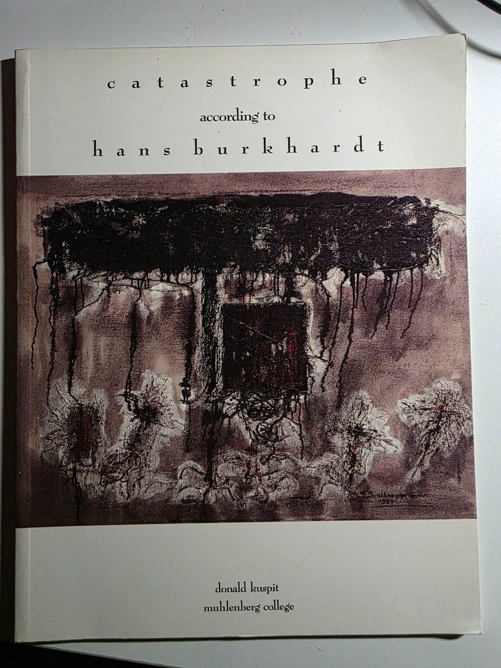 Libri: Hans Burkhardt - Catastrophe - Donald Kuspit 1990 – Usato da Walterswil BE venduto da Lonitti