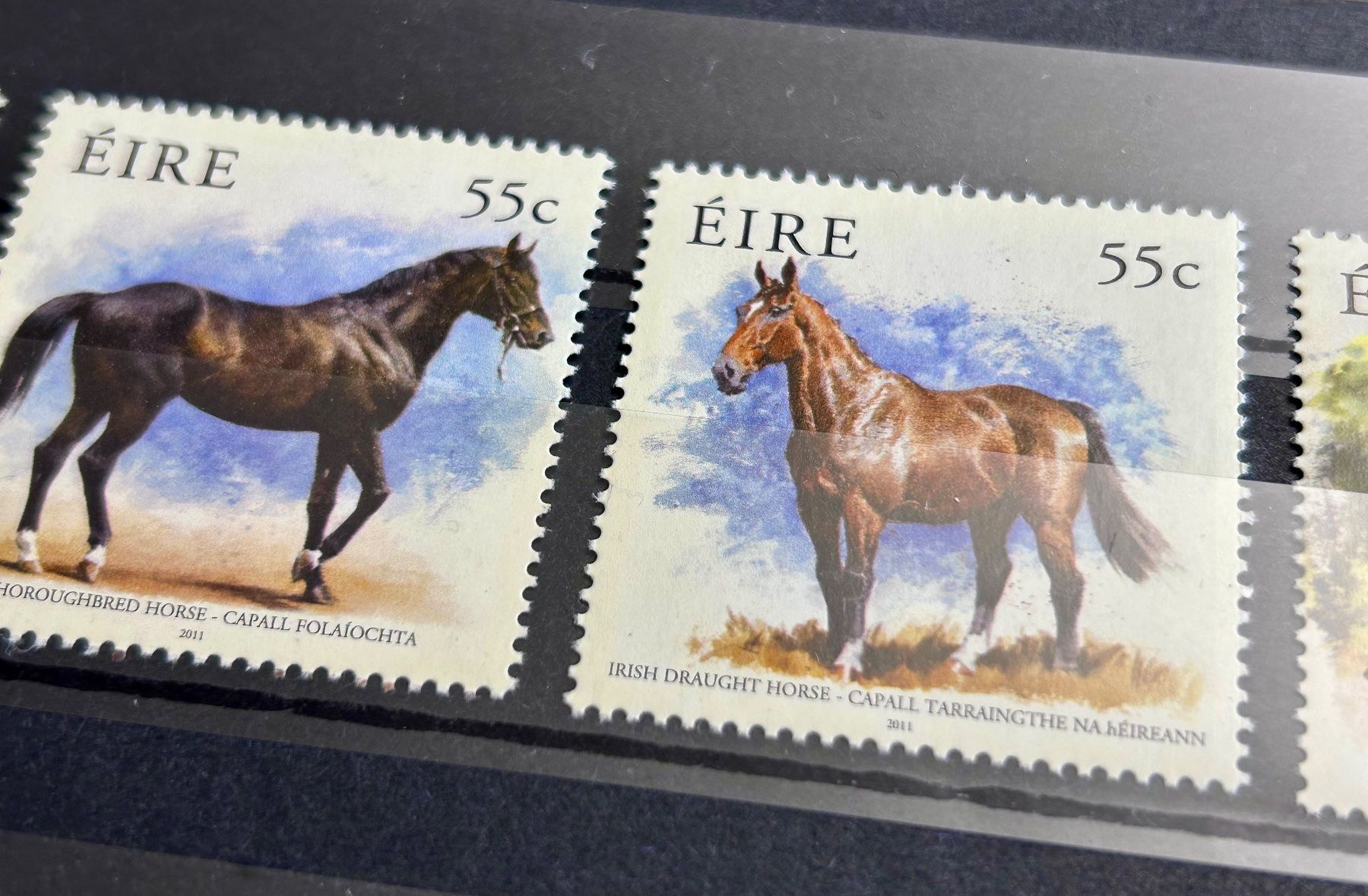 Tutti i francobolli: Briefmarken Irland Pferde 4er Set 55c – Nuovo (secondo la descrizione) da Braunau venduto da Duczelli 1