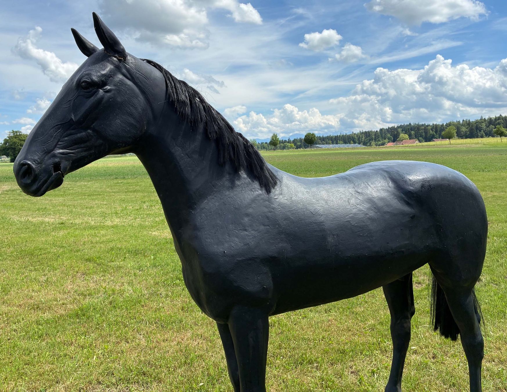 Statuette: Schwarzes Pferd Lebensgross – Usato da Bäretswil venduto da robsonantik 6