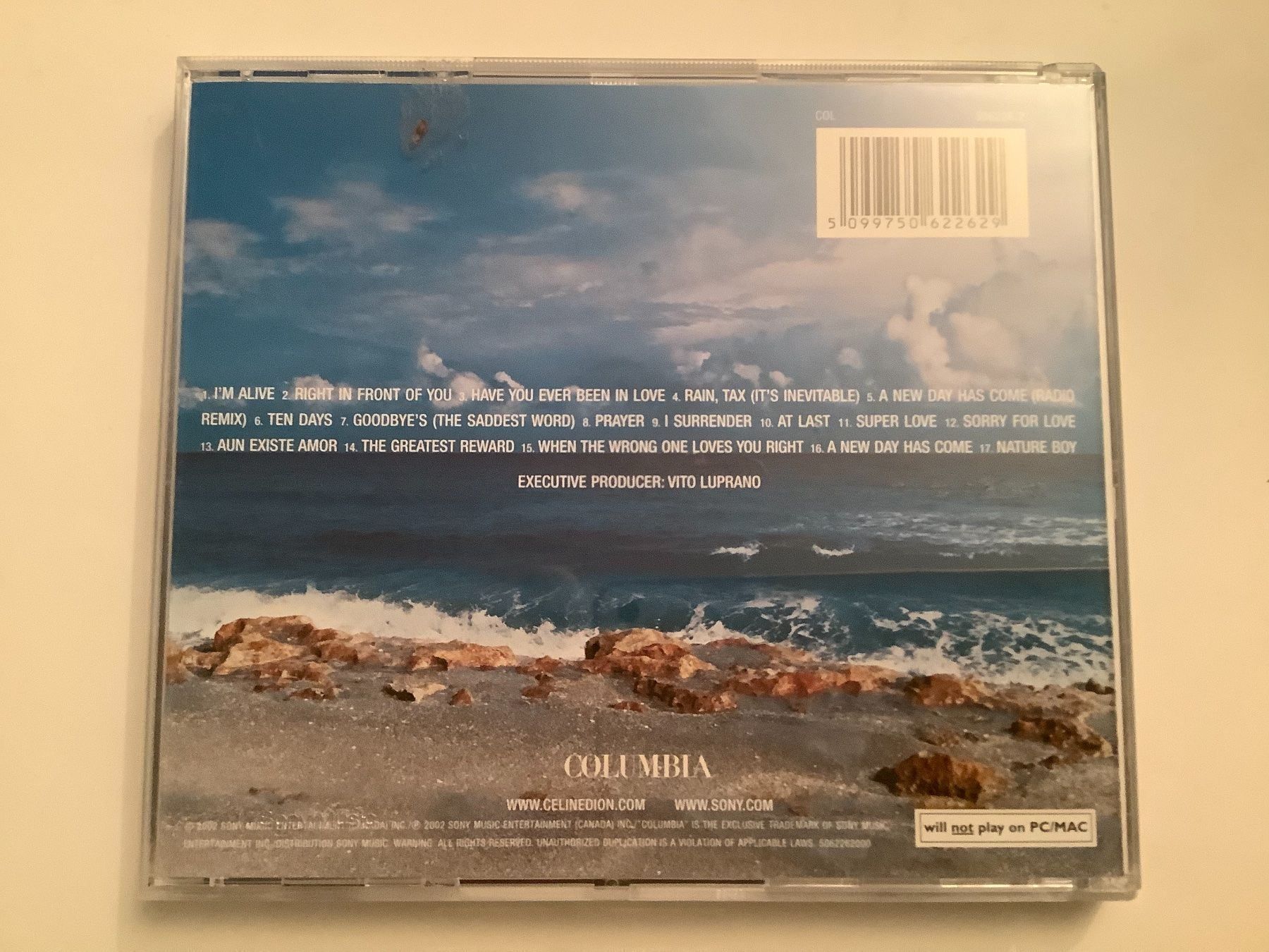 CDs: Celine Dion / A New Day has come / 2002 – Gebraucht aus Dübendorf von Shreck 1