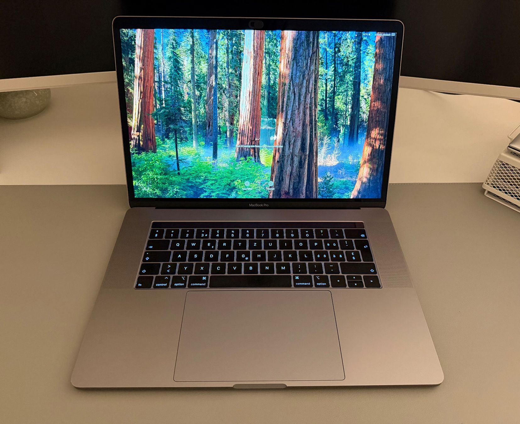Apple Notebook: MacBook Pro 15" (2019) mit Touch Bar – Usato da Oberglatt ZH venduto da s_wj65