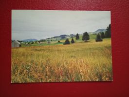 AK Gontenmoos AI (124)