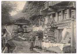 LANDWIRTSCHAFT/WASCHTAG 1904 Bern - Monokarte Nr. 9427