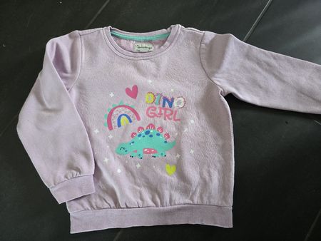 Pullover Dino Girl Grösse 104-110
