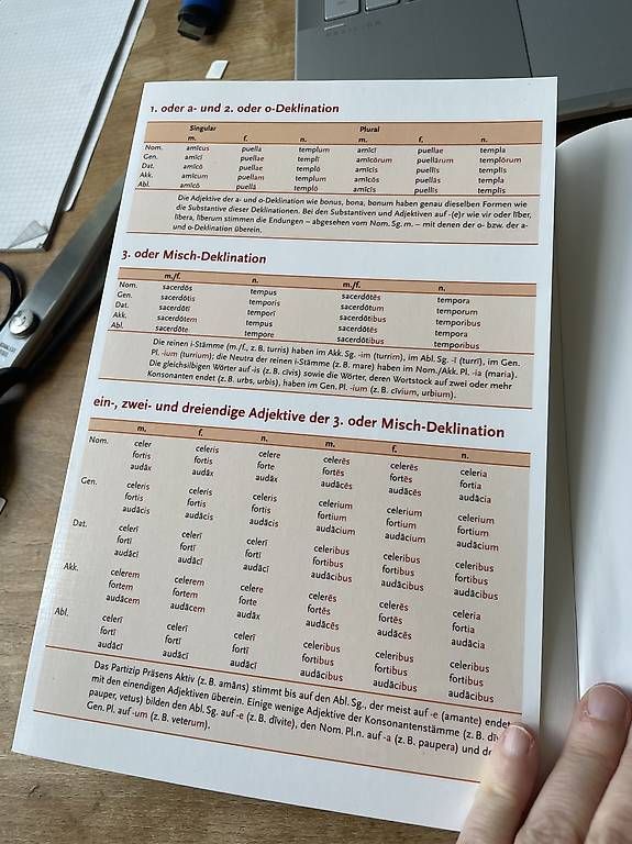 Libri: Lateinisch Kurzgrammatik Video – Usato da Dietlikon venduto da VintageStudioZurich 2