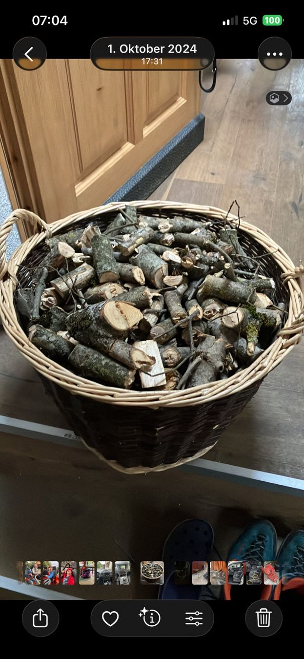 Tutte le macchine: Langhacker/Holzhacker/Forst – Usato da oey venduto da awe_9bsz 5