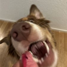Profile image of NikoSo
