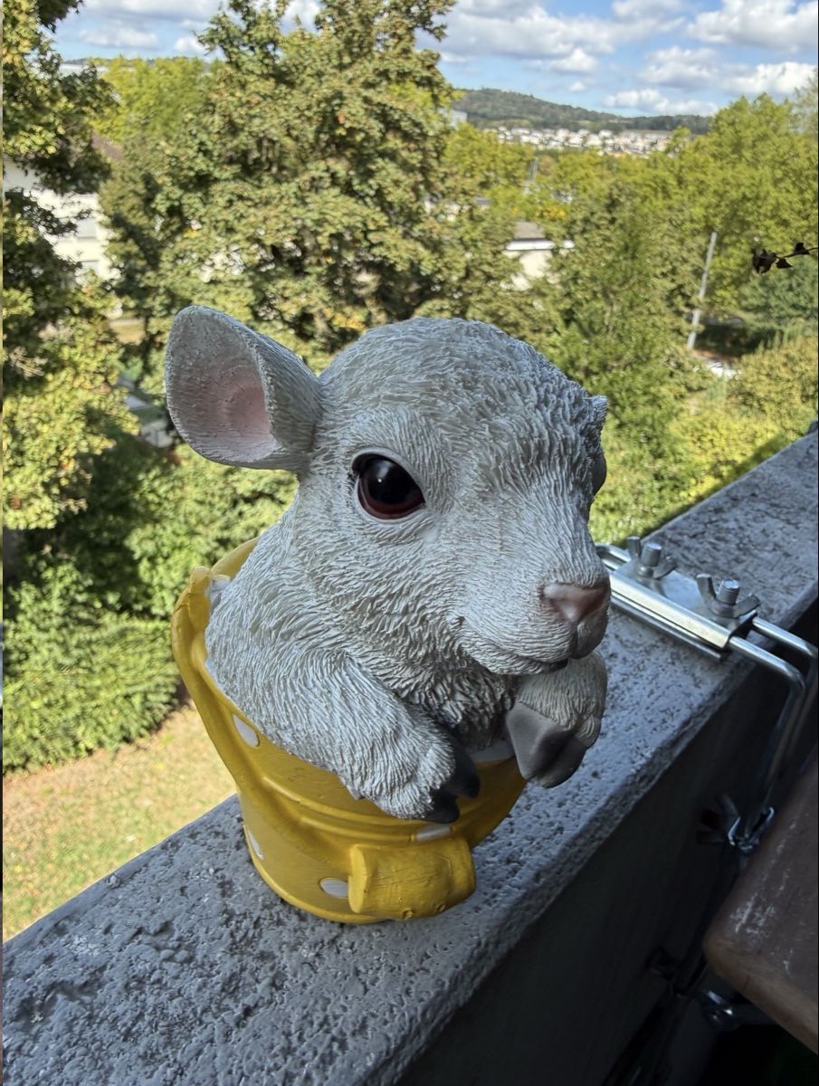 Tutte le decorazioni: Lamm im gelben Topf Dekofigur – Nuovo (secondo la descrizione) da Zürich venduto da ath_grq2 2