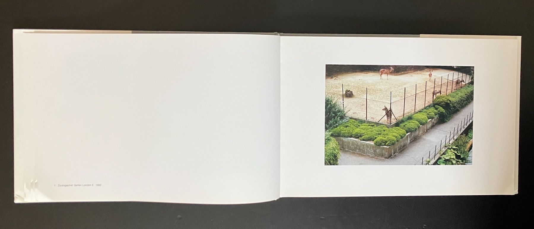 Libri: candida höfer . zoologische gärten – Usato da Basel venduto da cosmos.books 9