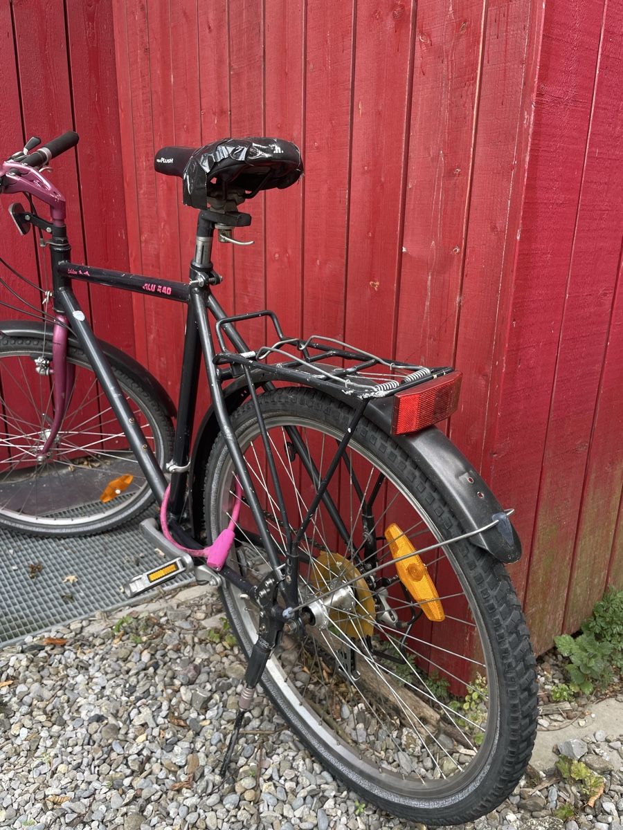 Velos: Velo – Gebraucht aus Spiez von lukullisch 4