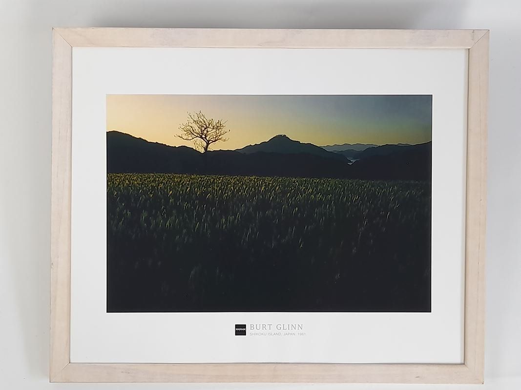 Foto & Immagini: Bild Burt Glinn – Usato da Liebefeld venduto da Restwert_Liebefeld