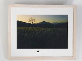 Bild Burt Glinn