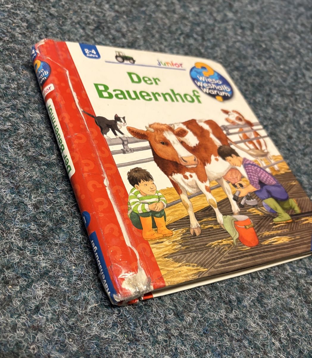 Libri: Wieso Weshalb Warum Bücher – Usato da Effretikon venduto da fabee 1