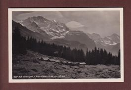WENGEN - Alphütten und Jungfrau