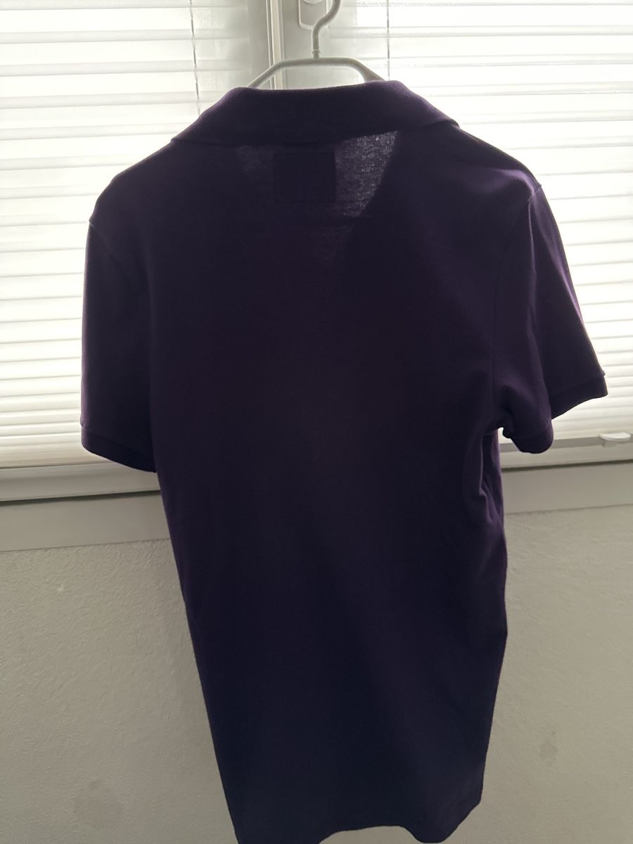 Hollister Magliette Polo: Hollister Poloshirt Violet Grösse M – Usato da Freienstein venduto da Ale_47_2 2