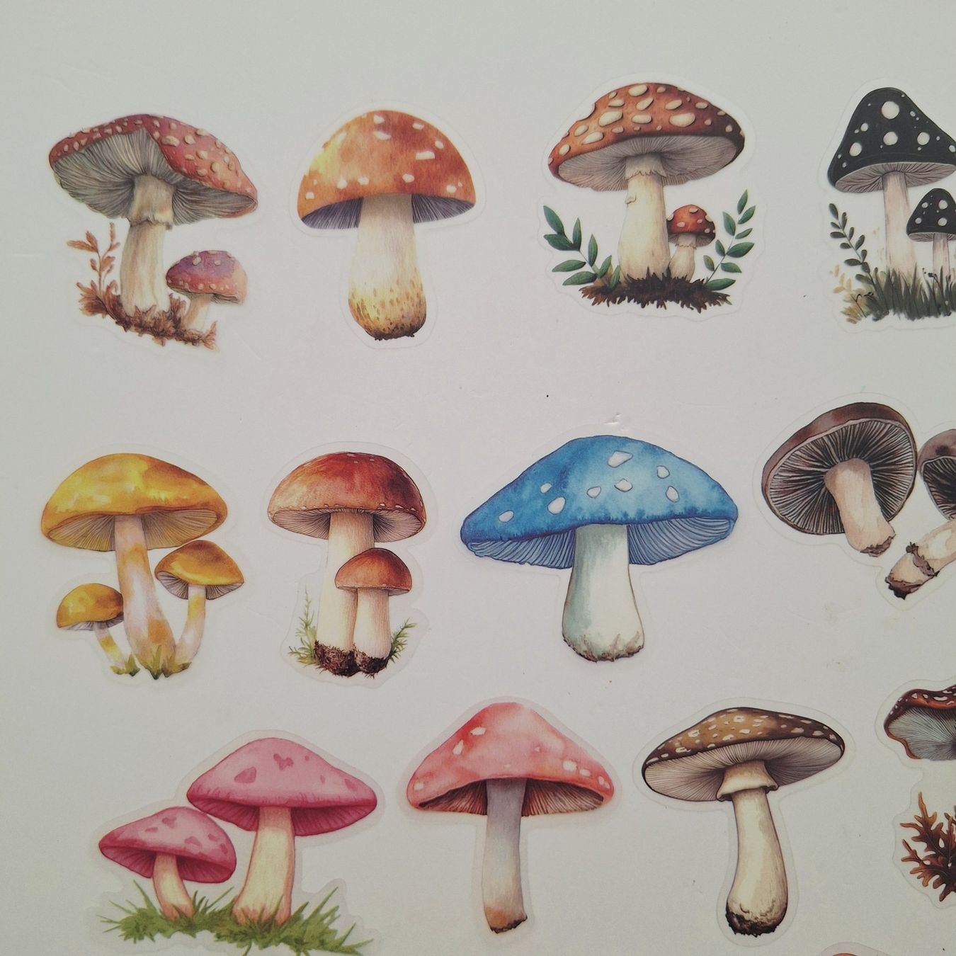 Sticker: 50 Aufkleber Sticker - Pilze – Nuovo e nell'imballaggio originale da Basel venduto da Kunterbunt12 1