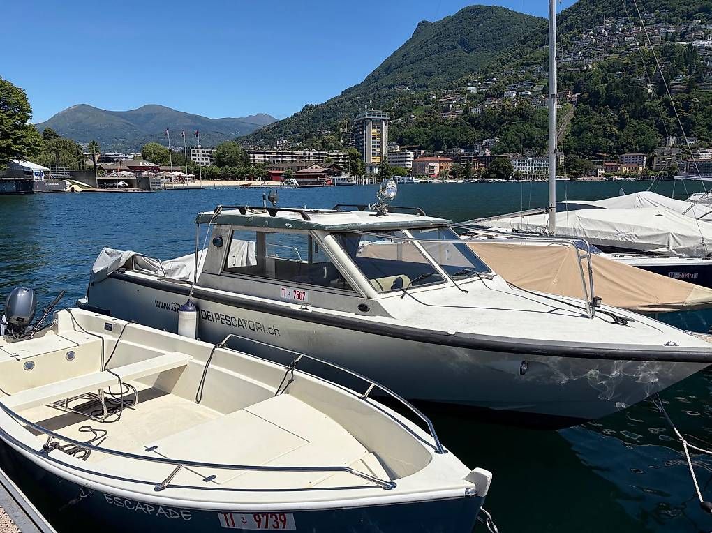 Prosperi Bateaux: Natante Prosperi Admiral – D'occasion à Lausanne par and_mpg2 2