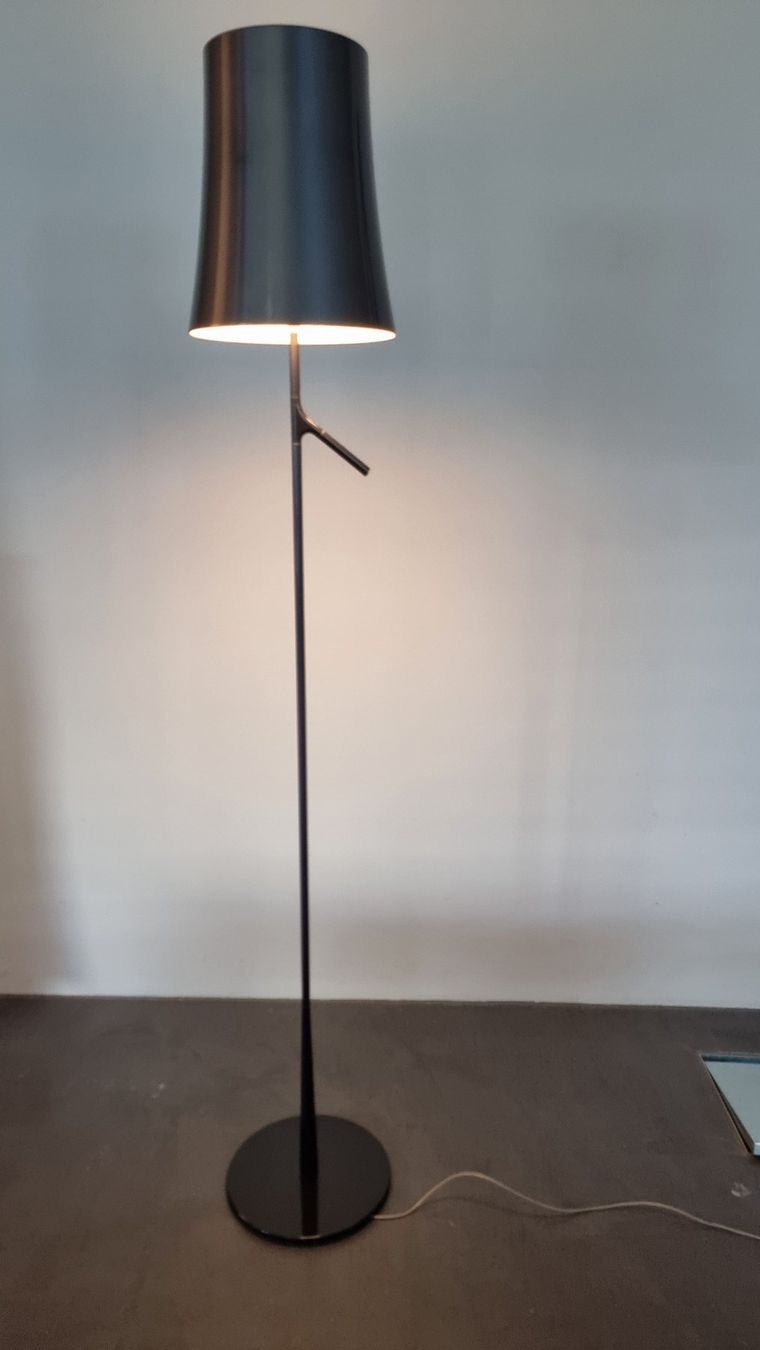 Foscarini Lampes: Foscarini Birdie Stehleuchte graphite – D'occasion à Zürich par Seiz