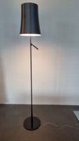 Foscarini Birdie Stehleuchte graphite