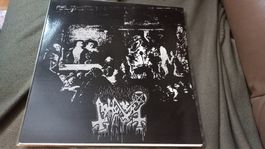 Abhorer/Necrophile-Split Lp Vinyl Black/Death Metal Kult