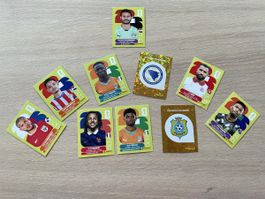 Stickers panini 