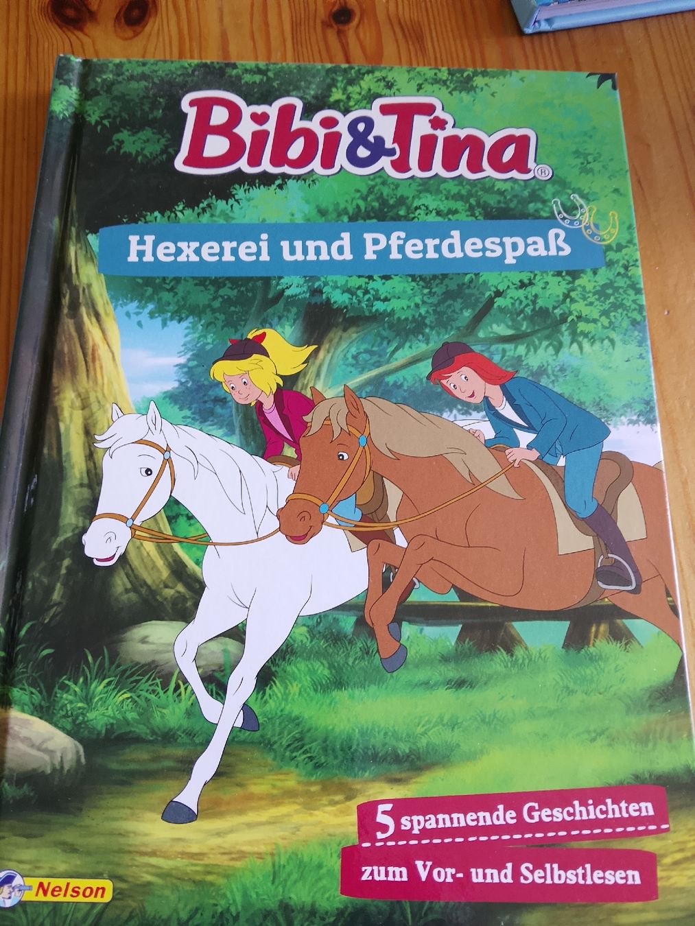 Libri: Bibi und Tina/ Hexerei und Pferdespass – Nuovo (secondo la descrizione) da Volken venduto da katz5