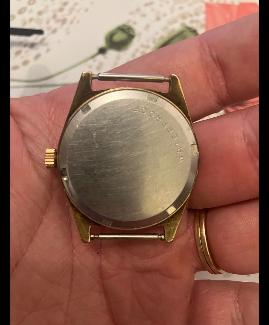 Omega Orologi: Omega geneve – Usato da Baden venduto da JulioSolar 1