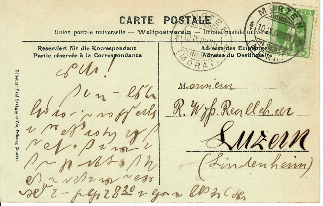 Cartes postales: Souvenier de Meyriez  1908 – D'occasion à Hochdorf par Ziegel-16 1