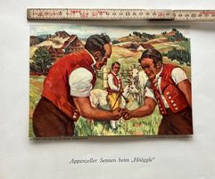 Appenzeller Bild
