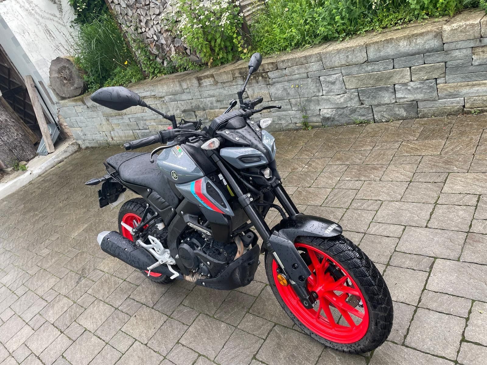 Yamaha Strada: Yamaha MT 125 – Usato da Langrickenbach venduto da Tari02 3