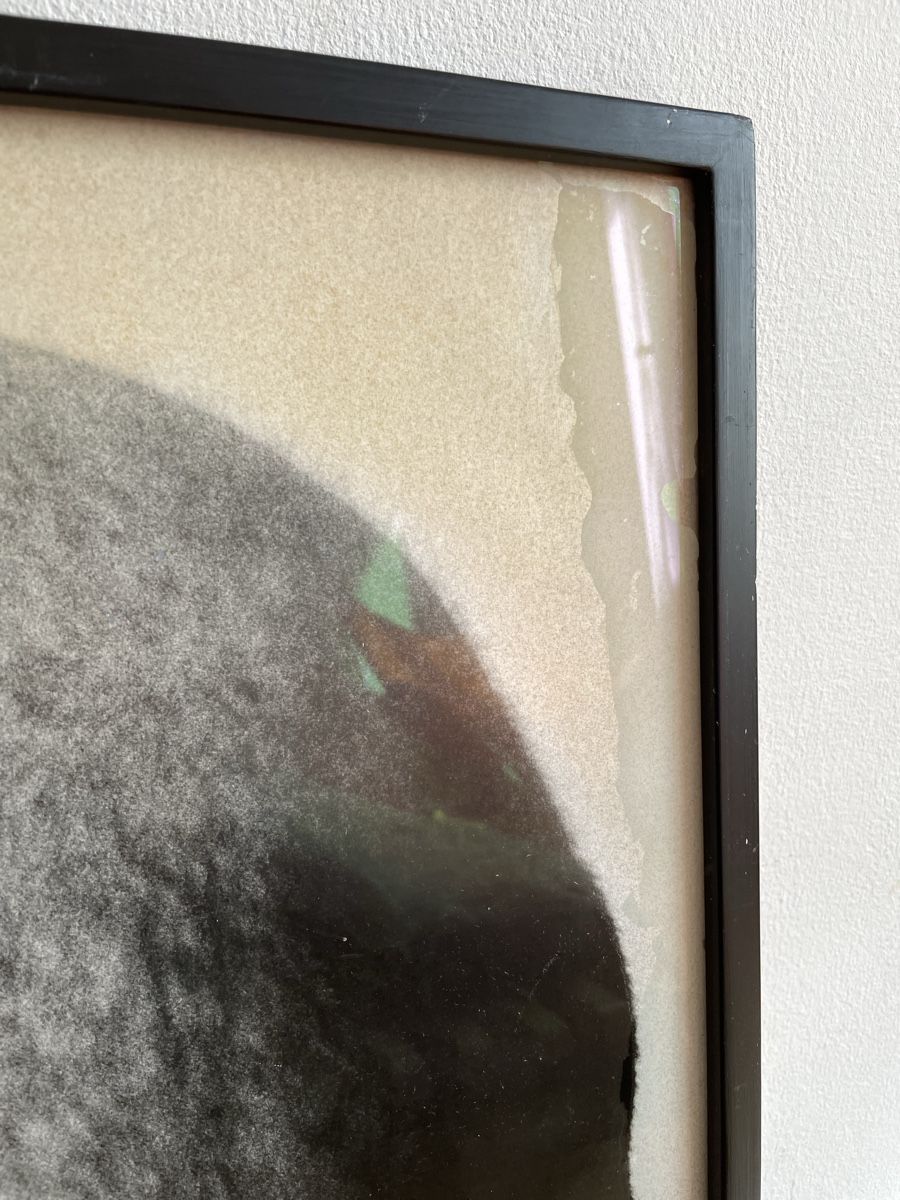 Poster & Bilder: Urs Lüthi Fotografie – Gebraucht aus Basel von Amechan. 7